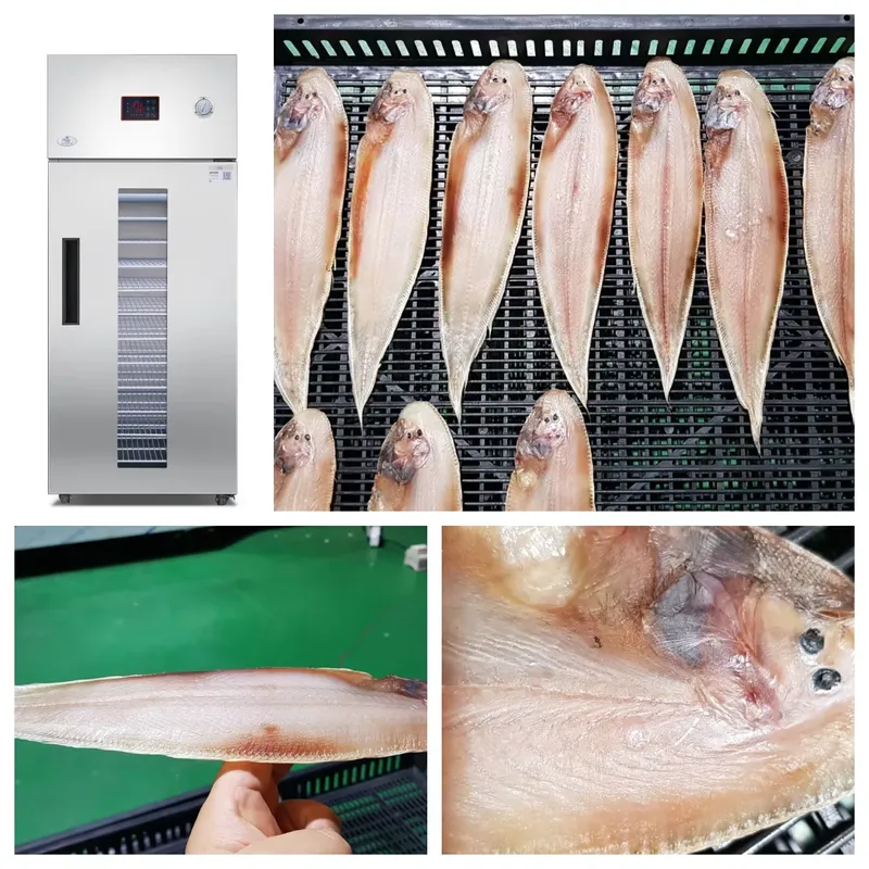 آلة تجفيف صناعية تجارية للفواك - مراجعة Commercial Food Dehydrator وسعره
